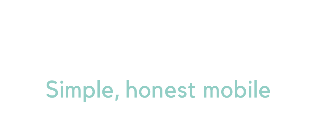 smarty logo